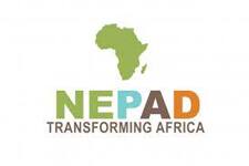 Nepad logo